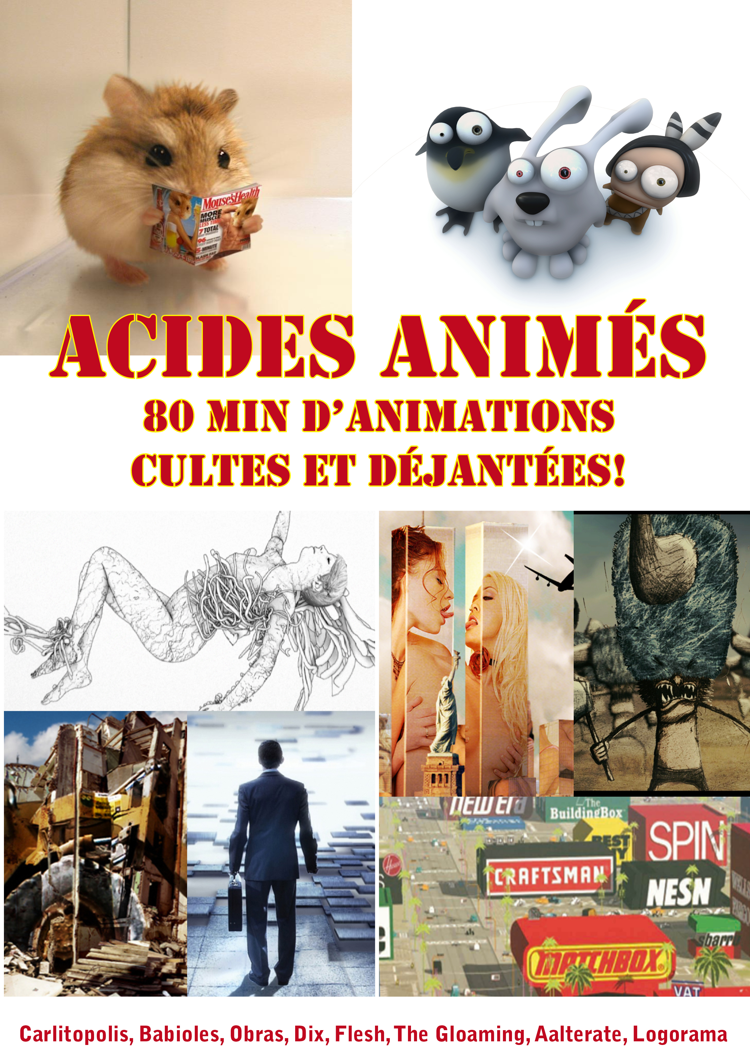 Acides animes